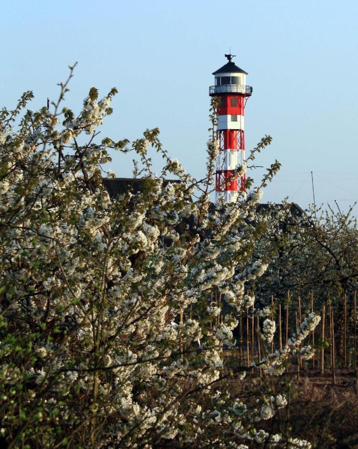 Fewo Blankenese Im Haus Luehegarten Grünendeich Esterno foto