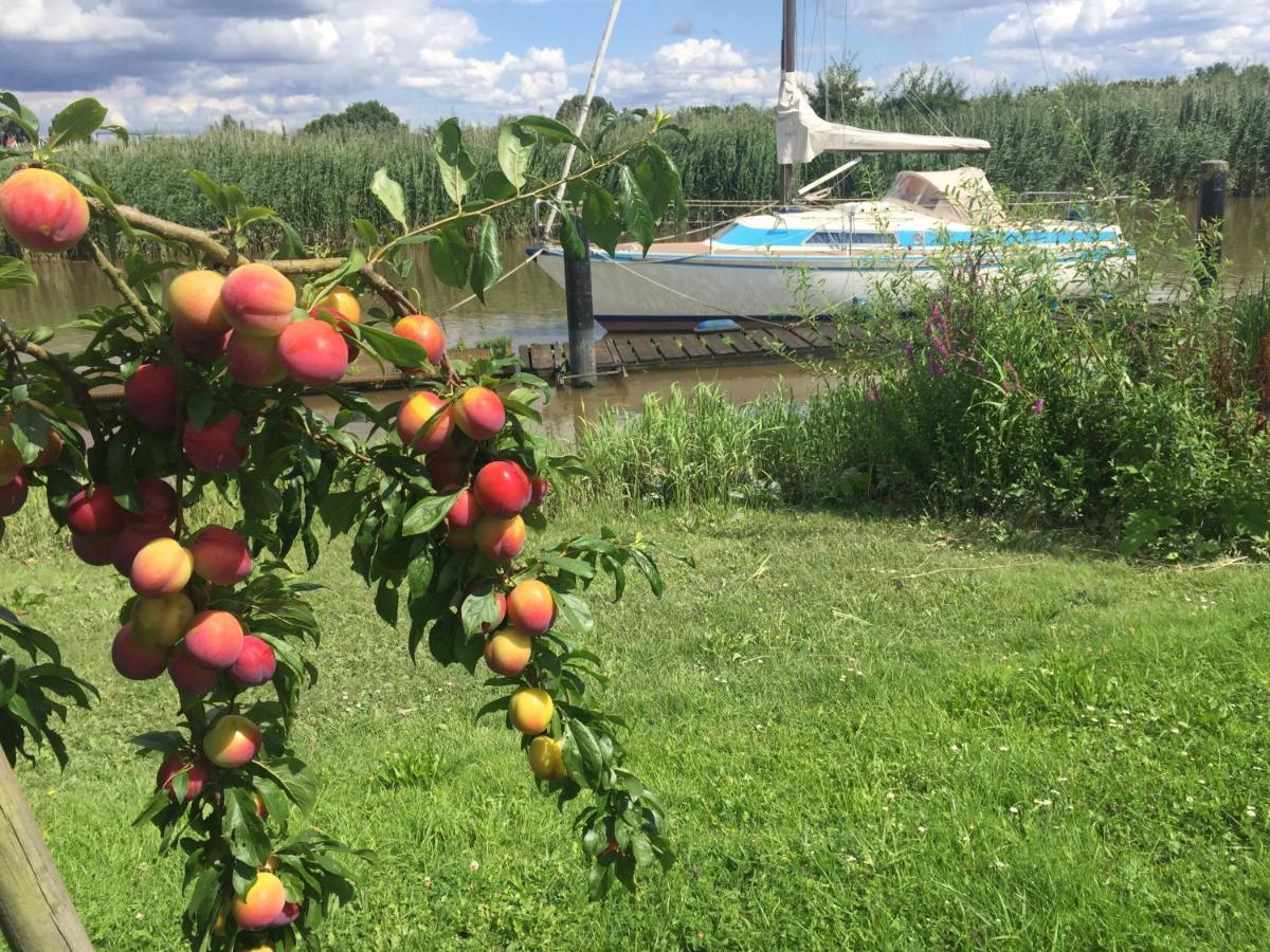 Fewo Blankenese Im Haus Luehegarten Grünendeich Esterno foto